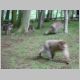 039 Montagne des Singes.jpg